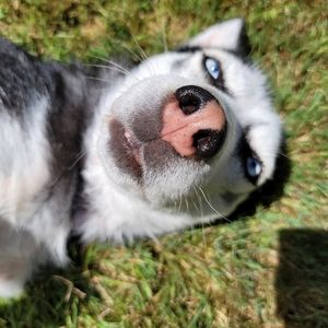 Meet your Posher, Courtney